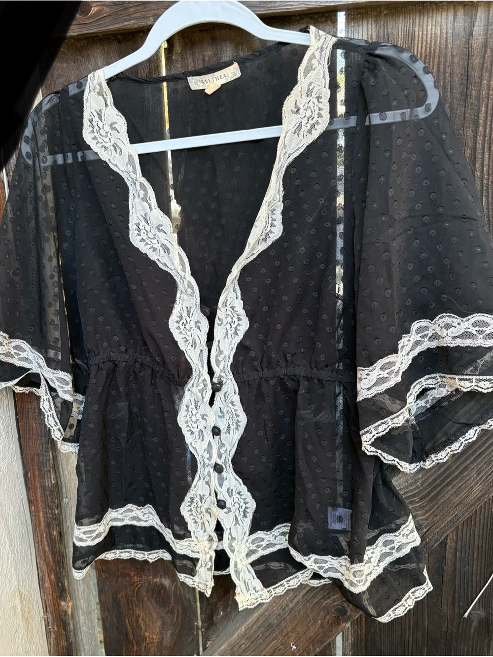 Alythea Black Sheer Dot Blouse with Cream Lace Trim